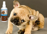LUCAA+ Topical Pet Allergen Free Probiotic Spray