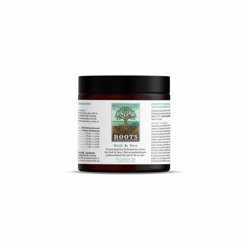Jar of 'Roots Soil & Seed' product on a white background by Adored Beast Apothecary