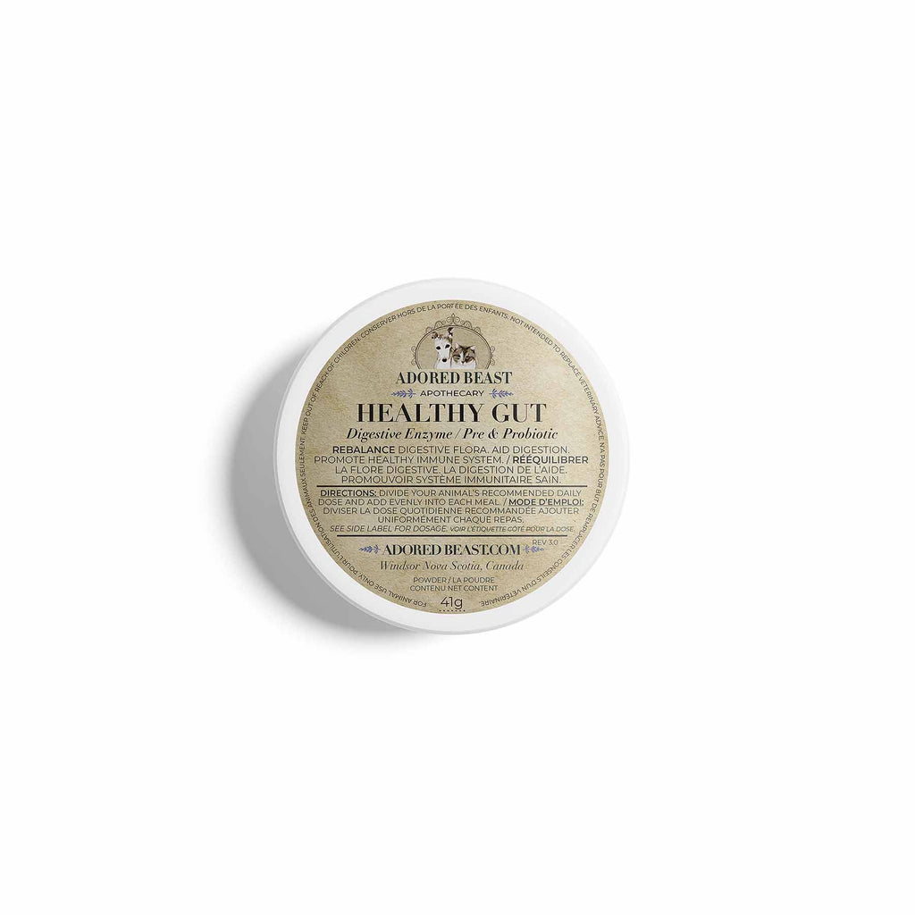 Round container labeled 'Healthy Gut' by Adored Beast on a white background