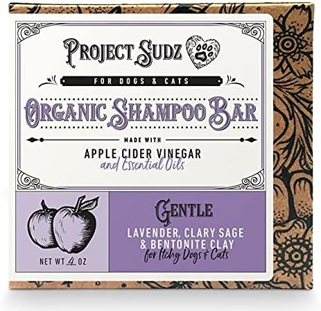 Project Sudz Gentle Lavender Shampoo and Conditioner