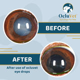 OcluVet Eye drops