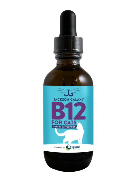 vitamin b12 injections in jackson Shots Phoenix Two Crazy Cat Ladies Jaxson