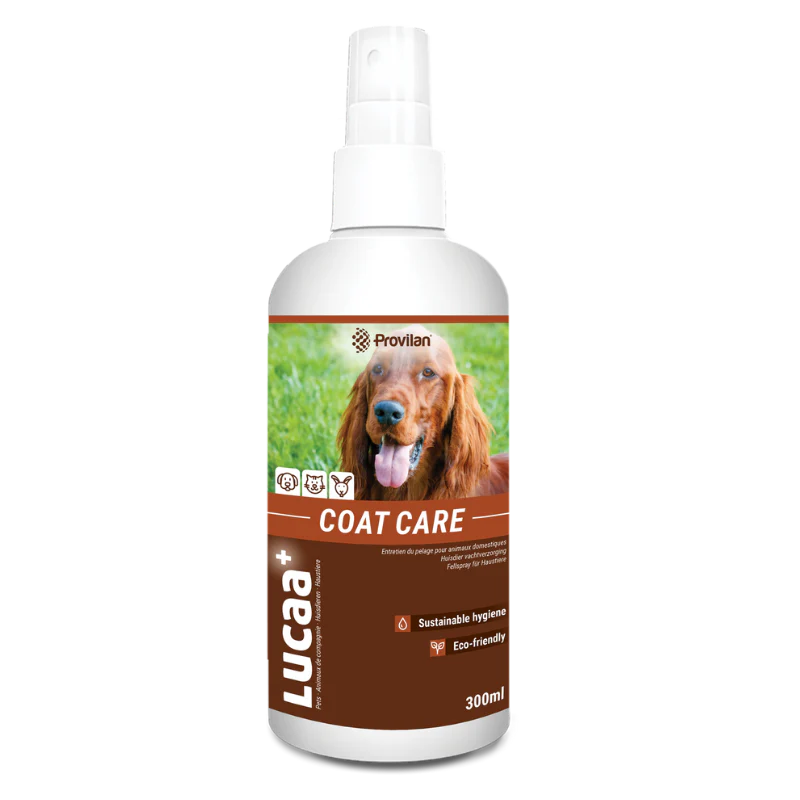 Bottle of Lucaa coat care product for dogs on a white background. Irish Setter dog photo. Spray bottle containing omega 3's for healthy, shiny skin and coat.