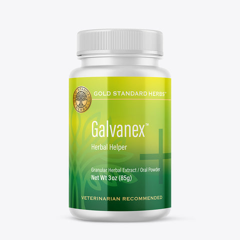 Gold Standard Herbs Galvanex