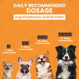 Progility Hip & Joint