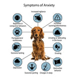 FurBabies K9 Easy Calm