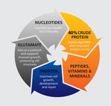 Nutrapure YBF Chicken Liver Meal Booster