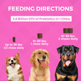 Progility Pre Probiotics Soft Chew