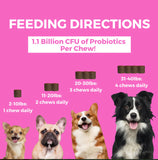 Progility Pre Probiotics Soft Chew