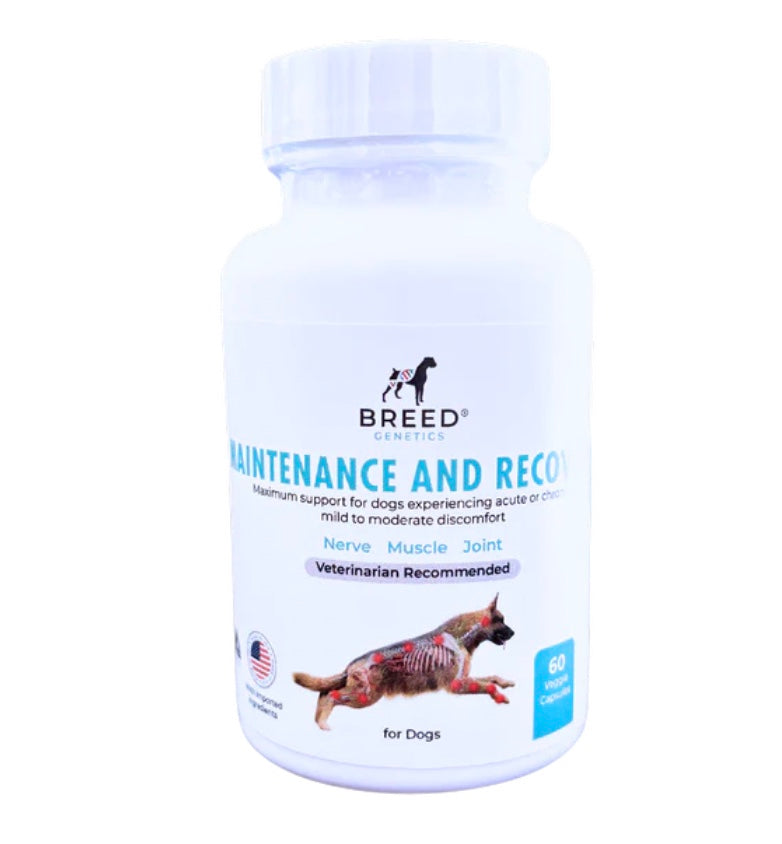 Breed Genetics maintenance and recovery hip and joint supplement for Dogs