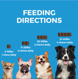 Skin & Coat Supplement