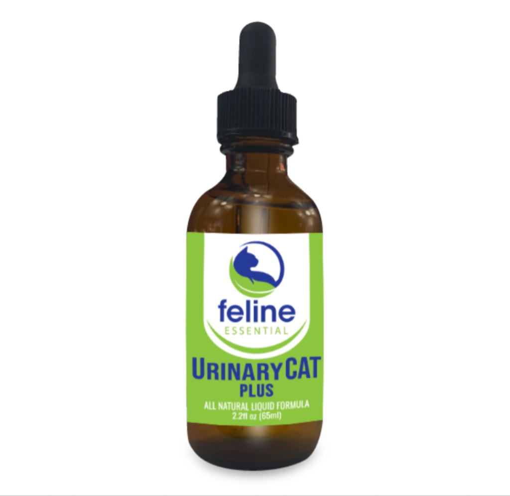 bottle of Feline Essential Urinary CAT plus tincture green label
