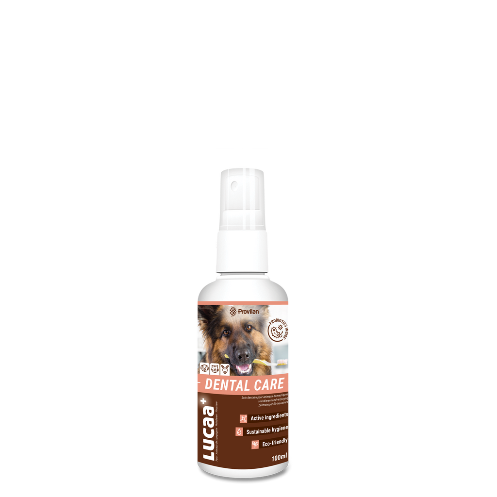 dental care spray 100ml dog holding a toothbrush in its mouth. Good for dogs cats rabbits horses