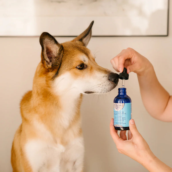 Silver4Wellness Structured Silver for all animals – DOGsAGE