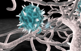Propythium Effervescent Tablets and Oil - Natural Yeast Killer