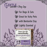 Project Sudz Gentle Lavender Shampoo and Conditioner