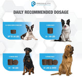 Skin & Coat Supplement