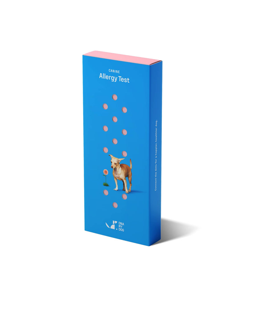 Canine Allergy Test Kit DNA My Dog - DOGsAGE