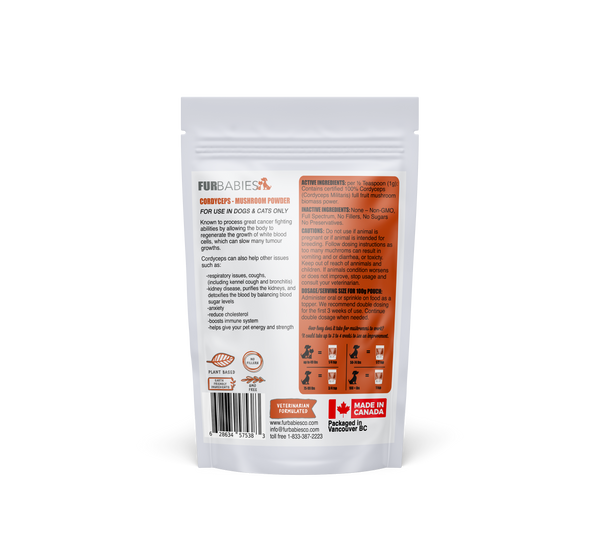 Mushroom powder for 2024 dogs