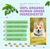 Cocotherapy Moringa Coconut CocoGems Training Treats ingredients