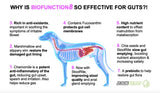 dogs first biofunction8 benefits