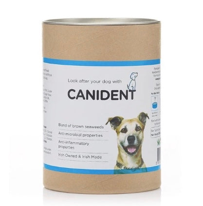 dr. conor brady dogs first canident for dogs teeth and bad breath