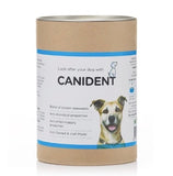 dr. conor brady dogs first canident for dogs teeth and bad breath