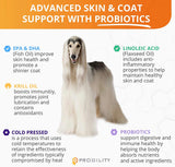 Skin & Coat Supplement
