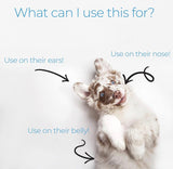 My Dog Nose it Sunscreen