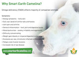 Smart Earth camelina oil target symptoms 