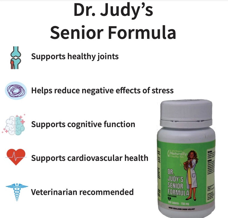 Dr. Judy Morgan Senior formula supplement for dogs