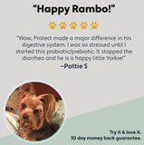 Four Leaf Rover Protect