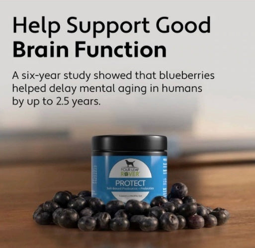 Four Leaf Rover Protect – DOGsAGE