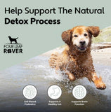 Four Leaf Rover Protect