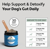 Four Leaf Rover Protect