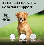 Four Leaf Rover Digest