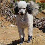 Power Paws by Woodrow Wear
