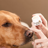 My Dog Nose it Sunscreen - DOGsAGE