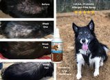 LUCAA+ Topical Pet Allergen Free Probiotic Spray