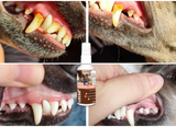 LUCAA+ Pet Probiotic Dental Care Spray Protects Gum Health & Reduces Plaque, Tartar & Bad Breath