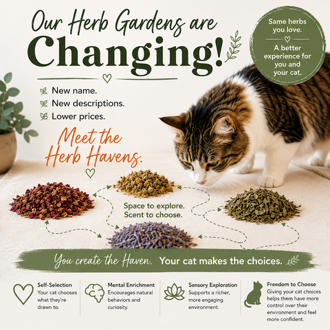 Two Crazy Cat Ladies Organic Herb Gardens/Herb Havens for Cats