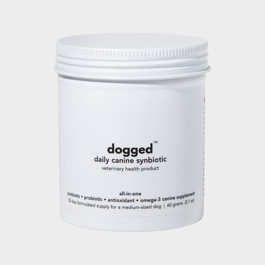 dogged daily canine snbiotic on white metal jar