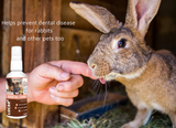 LUCAA+ Pet Probiotic Dental Care Spray Protects Gum Health & Reduces Plaque, Tartar & Bad Breath