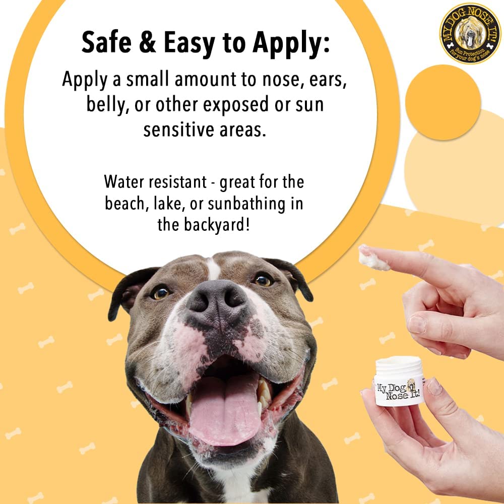 Are Dogs Noses Sensitive are-dogs-noses-sensitive