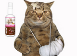 LUCAA+ Dermo Care