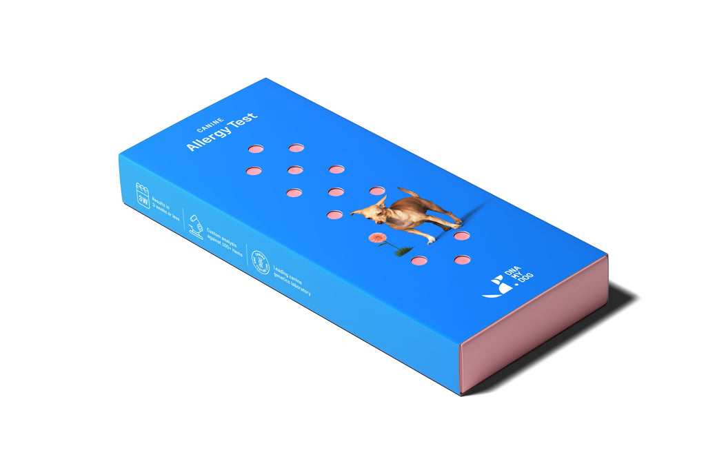 Dog dna allergy sales test