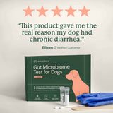 Animal Biome Gut Microbiome Test for Dogs