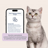 Animal Biome Gut Microbiome Test for Cats