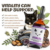MycoCat Vitality