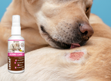 LUCAA+ Dermo Care